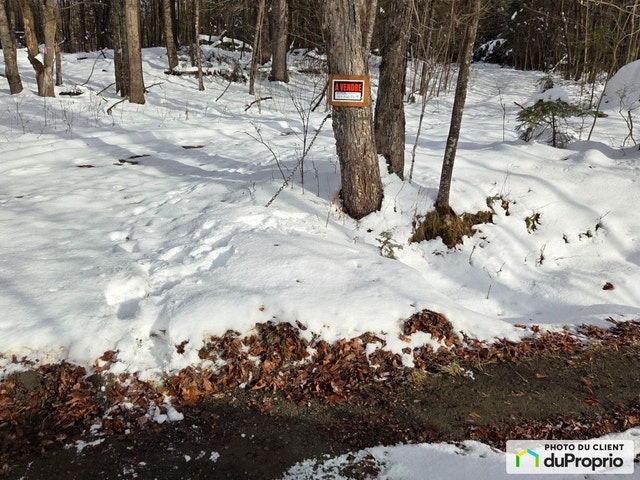 $495,000 - Wood Lot for sale in Cookshire-Eaton — photo 2