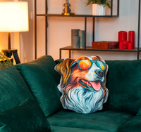 Custom Shaped Pillows City of Toronto Toronto (GTA) Preview