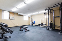 2 Bed, 1 Bath, Newly Renovated Kitchen with Stainless Steel Appliances with Amazing Amenities, Spect... (image 8)
