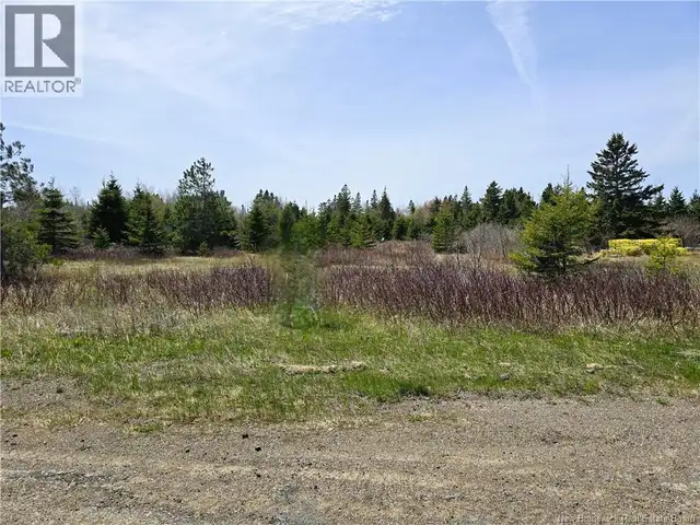 1.3 acres Route 113 Miscou, New Brunswick in Land for Sale in Bathurst - Image 2