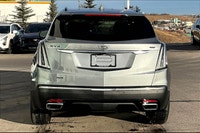 Welcome to Carter Cadillac Ltd. . (image 5)