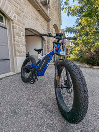 1500W Fat Tire Mountain Bike 67 km/h Free Shipping Warranty