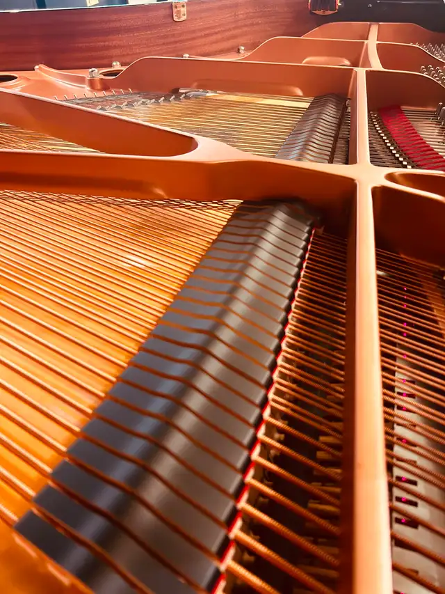 PIANO YAMAHA C3X SILENT (2014) in Pianos & Keyboards in City of Montréal - Image 5