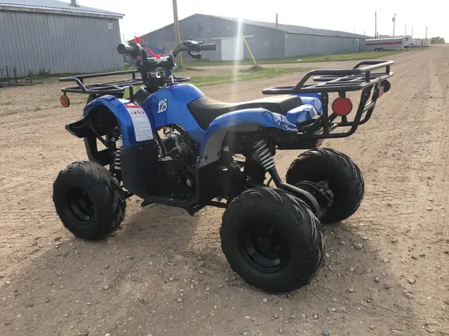 2025 BRAND NEW GIO BLAZER 125 ATV / QUAD / in ATVs in Brandon - Image 15