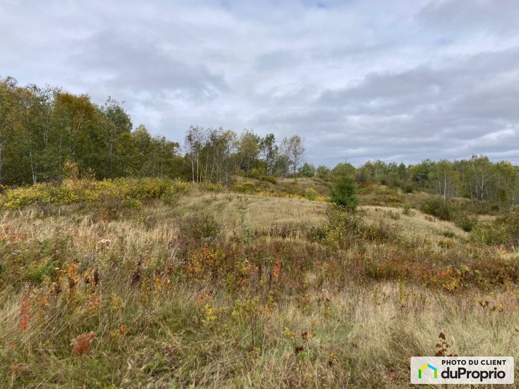 $150,000 - Arable Land for sale in ND-De-Lorette — photo 3