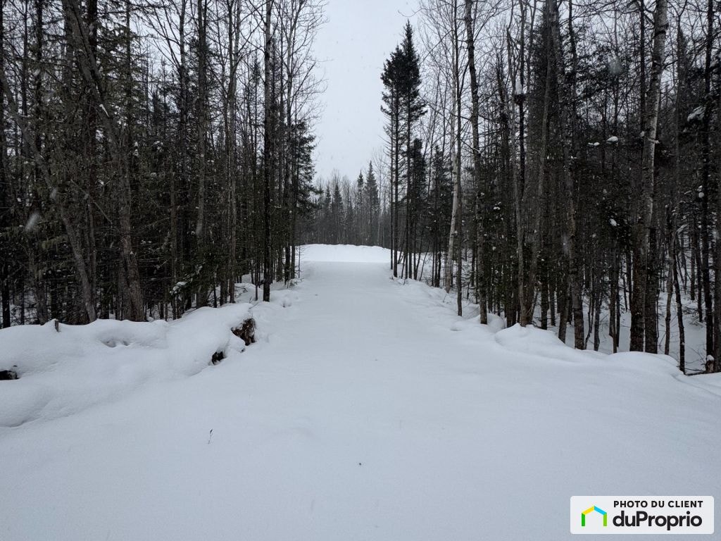 $90,000 - Residential Lot for sale in L'Anse-St-Jean — photo 2