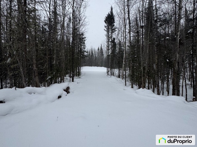 $90,000 - Residential Lot for sale in L'Anse-St-Jean — photo 2