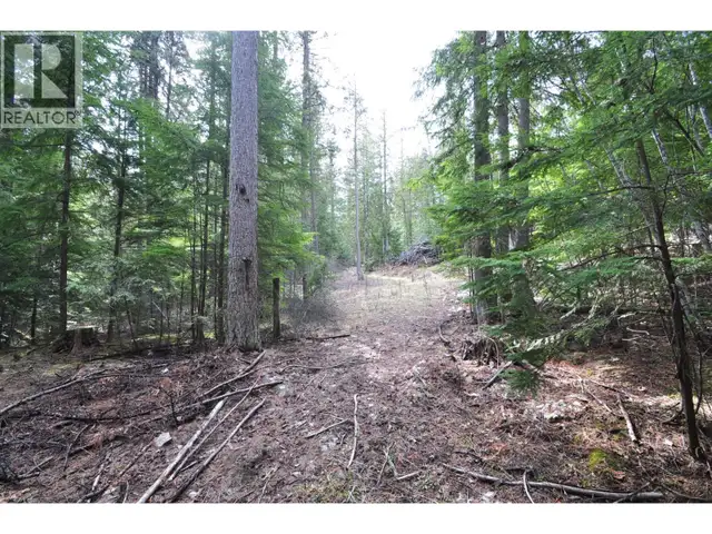 2835 SILVER KING Road Nelson, British Columbia in Land for Sale in Nelson - Image 20