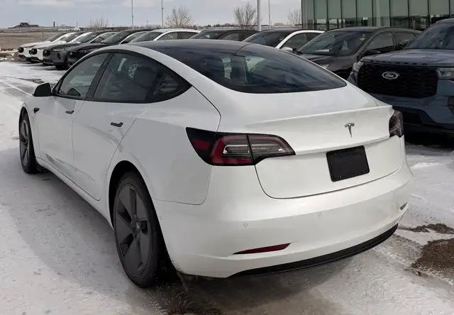 2021 Tesla Model 3 STANDARD RANGE PL417010521065410562