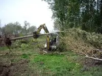 BUSH HOGGING-LAND CLEARING-LEVELLING-CHIPPING-TREE REMOVAL