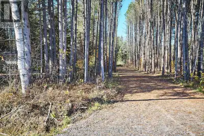 Lovely piece of land well-situated on the North end of Huntsville on a year-round road. Almost 7 acr...