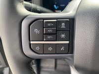 Welcome to Freedom Ford. *3.5L EcoBoost V6 | 4X4 Capability | Tow Hitch | All-Terrain Tires | Advanc... (image 9)