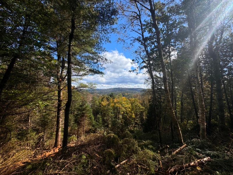 Terrain avec vue panoramique à Morin Heights — photo 3