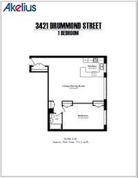 Akelius one bedroom apartment for rent. Located near Drummond and Sherbrooke in the Downtown - McGil... (image 8)