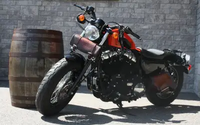 Stock, low mileage, in mint condition. Selling because no time to ride.