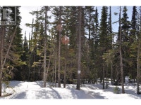Pr. St Lt 13 ALPINE WAY Smithers, British Columbia Smithers Skeena-Bulkley Area Preview