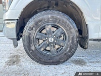 2023 Ford F-150 XL - Vehicle Listing 2023 Ford F-150 XL Crew Cab Pickup Vehicle Highlights: CarPlay... (image 9)