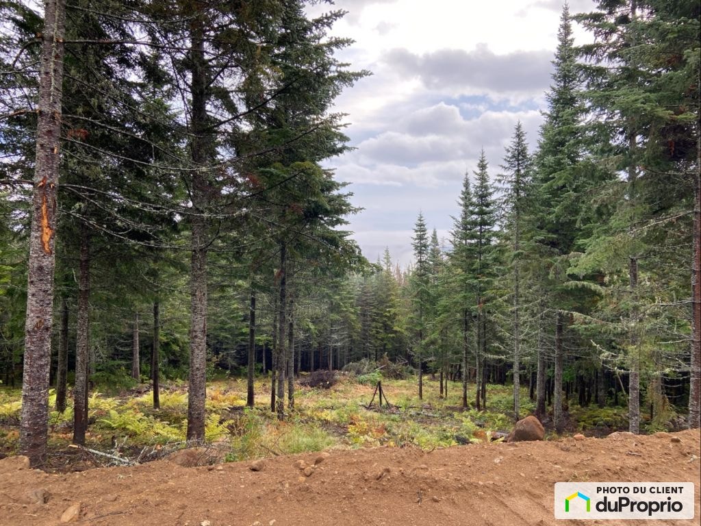 $159,900 - Price taxes included - Residential Lot - Baie-St-Paul — photo 2