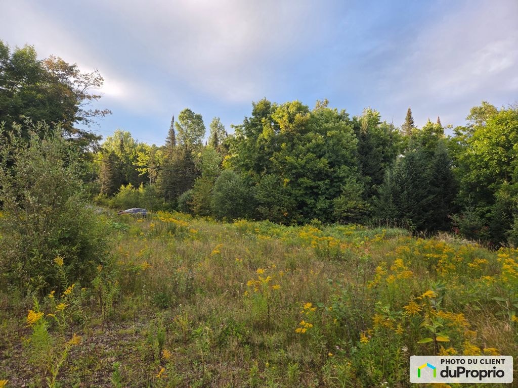 $123,500 - Residential Lot for sale in Lac-Superieur — photo 1