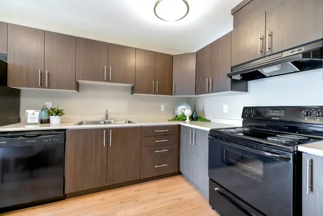 Pet-Friendly One Bedroom One Bath with In-suite Laundry for Rent in Long Term Rentals in Edmonton - Image 9
