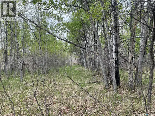 5.5km South of Dorintosh Lot 2 Meadow Lake Rm No.588, Saskatchew in Land for Sale in Meadow Lake - Image 8