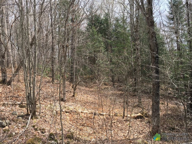 $255,000 - Residential Lot for sale in Mandeville — photo 1