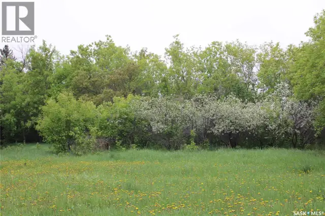 730 Broadway STREET W Orkney Rm No. 244, Saskatchewan in Land for Sale in Regina - Image 7