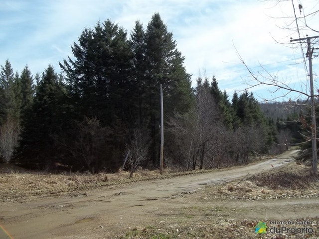 $95,000 - Residential Lot for sale in St-Roch-De-Mekinac — photo 3