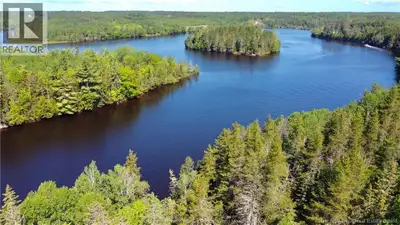 WATERFRONT OPPORTUNITY WITH 5.93 ACRES! Discover the possibilities with this vacant waterfront prope...
