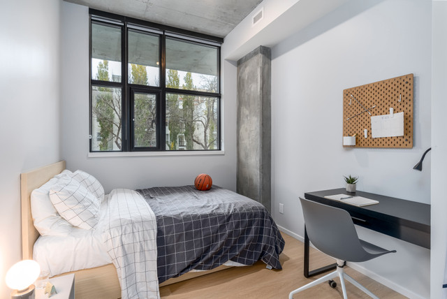CX - 4 Bedroom, 4 Bathroom Shared Suite Apartment for Rent in Long Term Rentals in Edmonton - Image 4