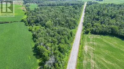 Welcome to this treed acreage located close to the hamlet of Castleton and a very short drive to hig...
