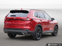 At Kia of Hamilton we strive to exceed expectations! With that, we meticulously go through each of o... (image 4)
