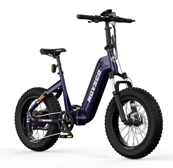 Local Ebike Seller! Hovsco HovBeta 20x4 Fat Tire Folding Ebike!62863276672641124