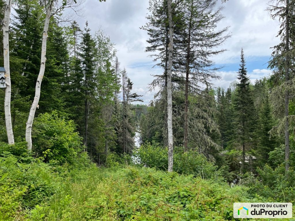 $125,000 - Residential Lot for sale in Péribonka — photo 3