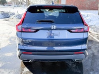 Certified. EX-L|Leather|Sunroof|CarPlay|No Accidents 2024 Honda CR-V Hybrid EX-L EX-L|Leather|Sunroo... (image 6)
