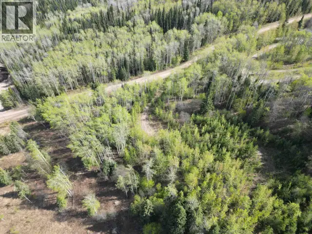 LOT A BALD HILL ROAD Burns Lake, British Columbia in Land for Sale in Burns Lake - Image 4
