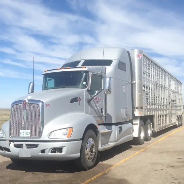 Owner Operator - Livestock Division in Drivers & Security in Moose Jaw - Image 15