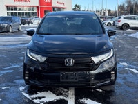 Certified. Black Edition|Leather|Navi|DVD|CarPlay 2024 Honda Odyssey Black Edition Black Edition|Lea... (image 1)