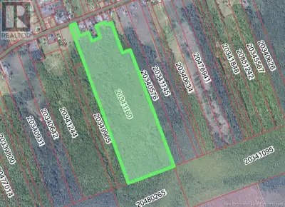 Nouveau terrain de 29.2 acres boisé située à saint-Simon. Parfait pour s'y construire un 'camp'. Plu...