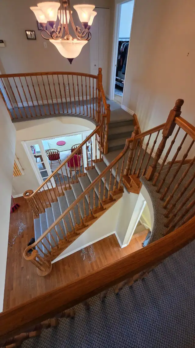 Carpet Installer418454779599278080