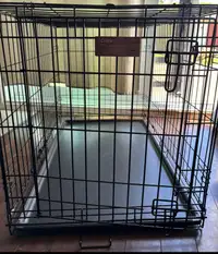 cage pour chien à vendre