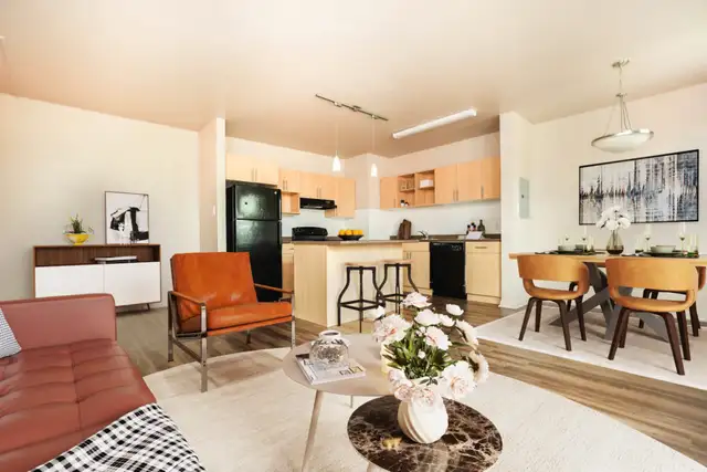 Essex House - 1 Bed 1 Bath A Apartment for Rent62864379878787122