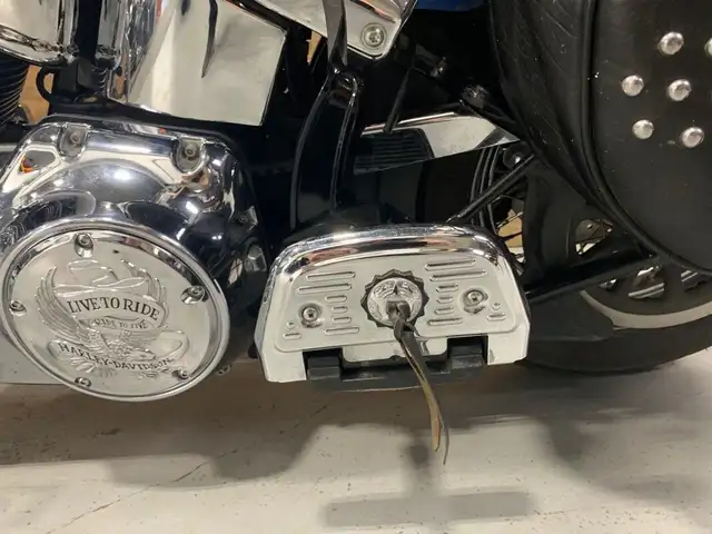 2010 Harley-Davidson Heritage Softail Classic in Street, Cruisers & Choppers in Oshawa / Durham Region - Image 8