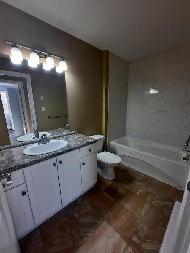 34 Downsview Dr, #52 in Long Term Rentals in Saint John - Image 4