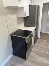 Lower level apartment unit available for rent, this freshly painted bachelor apartment is in a clean... (image 5)