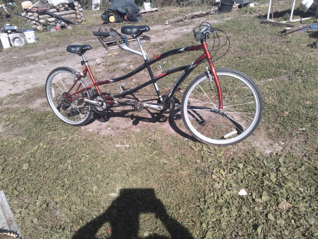 New Tandem Bike in Other in Kawartha Lakes