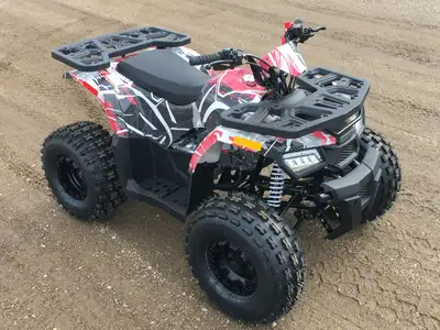 INTRODUCING THE TAOTAO RAPTOR 125 ATV!!! ZERO DOWN FINANCING AVAILABLE!!! PLEASE CALL 204-724-2438 F...