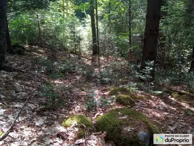 Terrain résidentiel en pente douce orienté sud, situé sur une route calme à seulement 10 minutes de...
