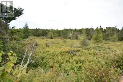 Opportunity awaits with this spacious 1.37-acre parcel, ideally located in Conception Bay South. Wit...