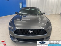 Bluetooth, Rear View Camera, SYNC, Aluminum Wheels, Air Conditioning! Ask us how you can add Extende... (image 1)